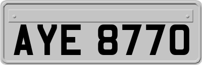 AYE8770
