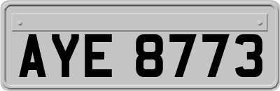 AYE8773