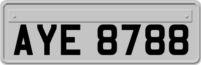 AYE8788