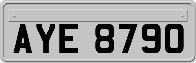 AYE8790