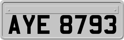 AYE8793