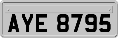 AYE8795