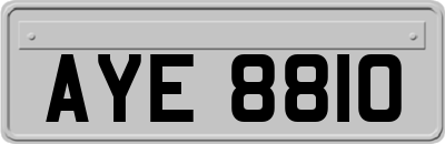 AYE8810