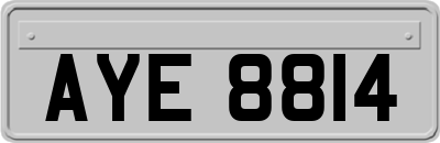 AYE8814