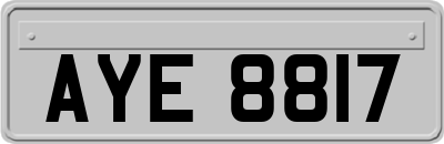AYE8817