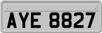 AYE8827