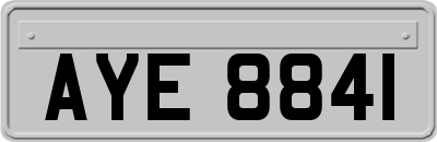 AYE8841