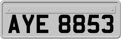 AYE8853