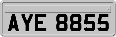 AYE8855