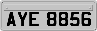 AYE8856