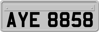 AYE8858