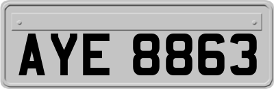 AYE8863