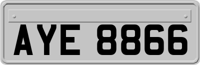 AYE8866