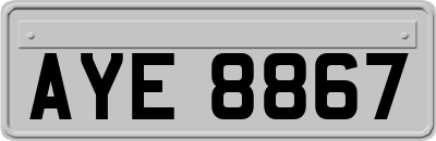 AYE8867