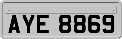 AYE8869