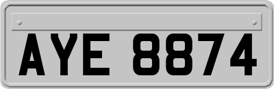 AYE8874