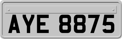 AYE8875