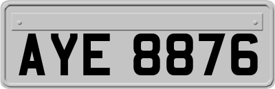 AYE8876