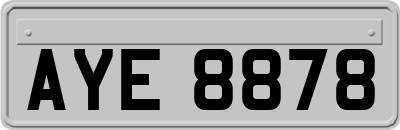 AYE8878