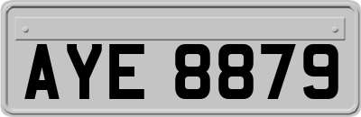 AYE8879