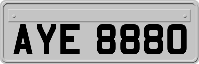 AYE8880