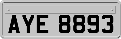 AYE8893