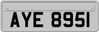 AYE8951