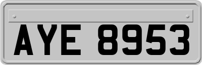AYE8953