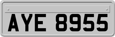 AYE8955
