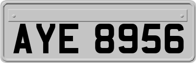 AYE8956