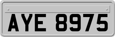 AYE8975
