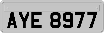 AYE8977