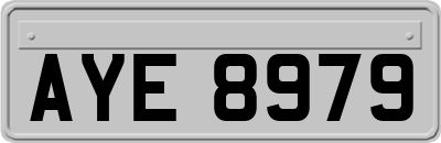AYE8979