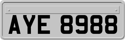 AYE8988