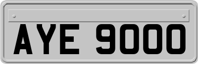 AYE9000