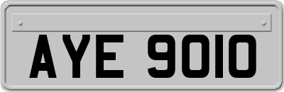 AYE9010