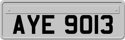 AYE9013