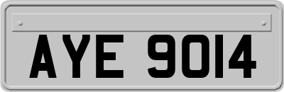 AYE9014