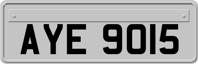AYE9015