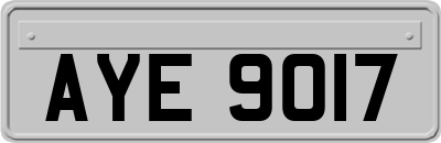 AYE9017