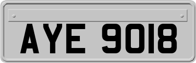 AYE9018