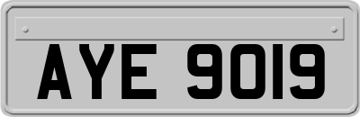 AYE9019