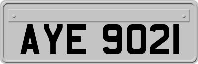 AYE9021