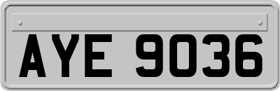 AYE9036