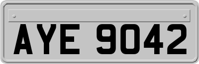 AYE9042