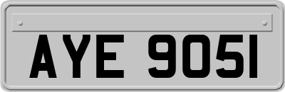 AYE9051