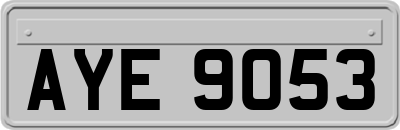 AYE9053