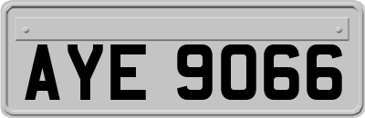 AYE9066