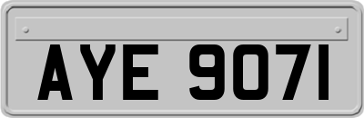AYE9071