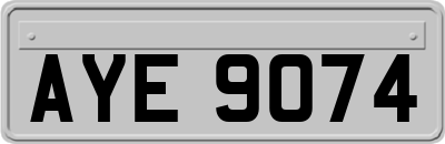 AYE9074
